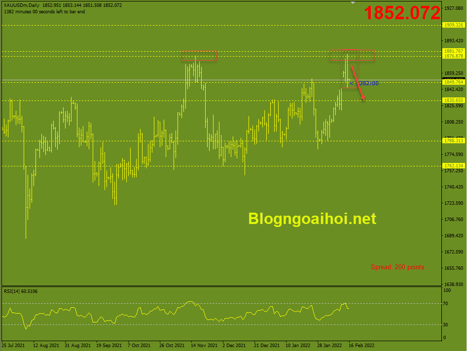 vang-16-2-mo-hinh-2-dinh