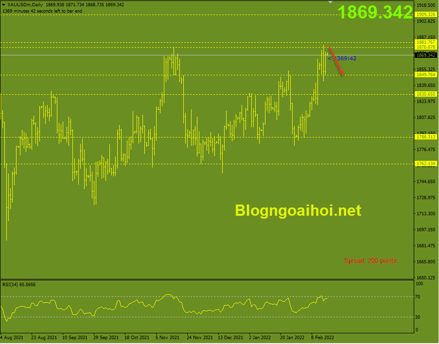 vang-17-2-mo-hinh-2-dinh