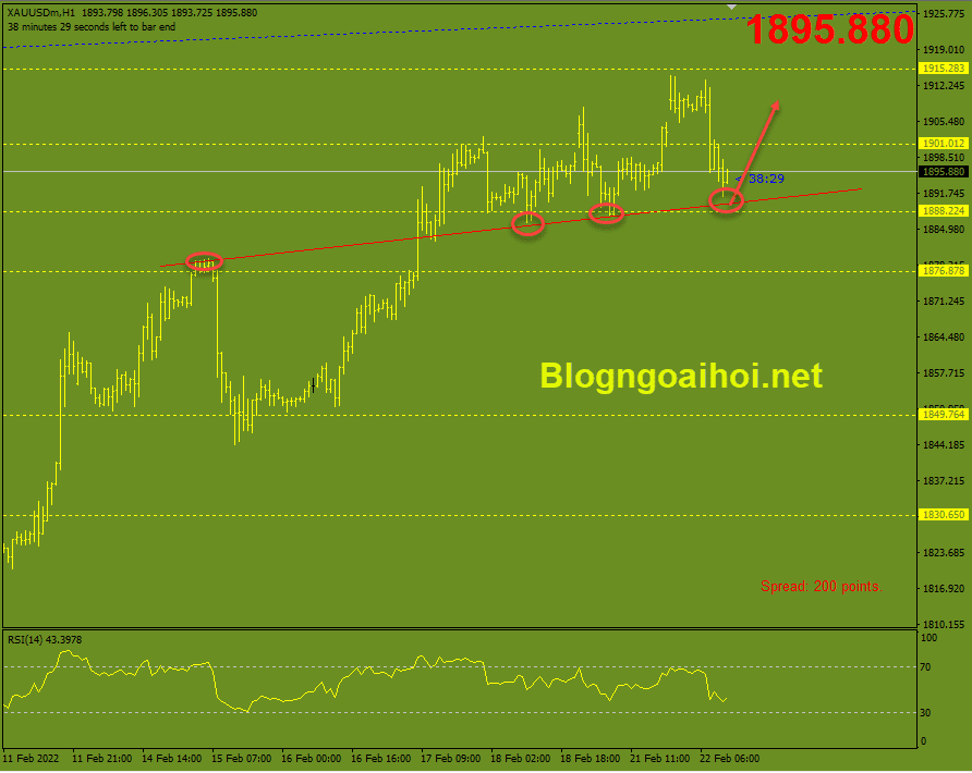 vang-phien-my-22-2-trendline-ho-tro