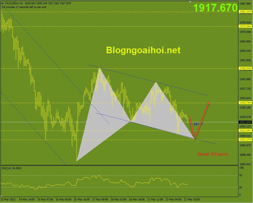 vang-23-3-harmonic-tang