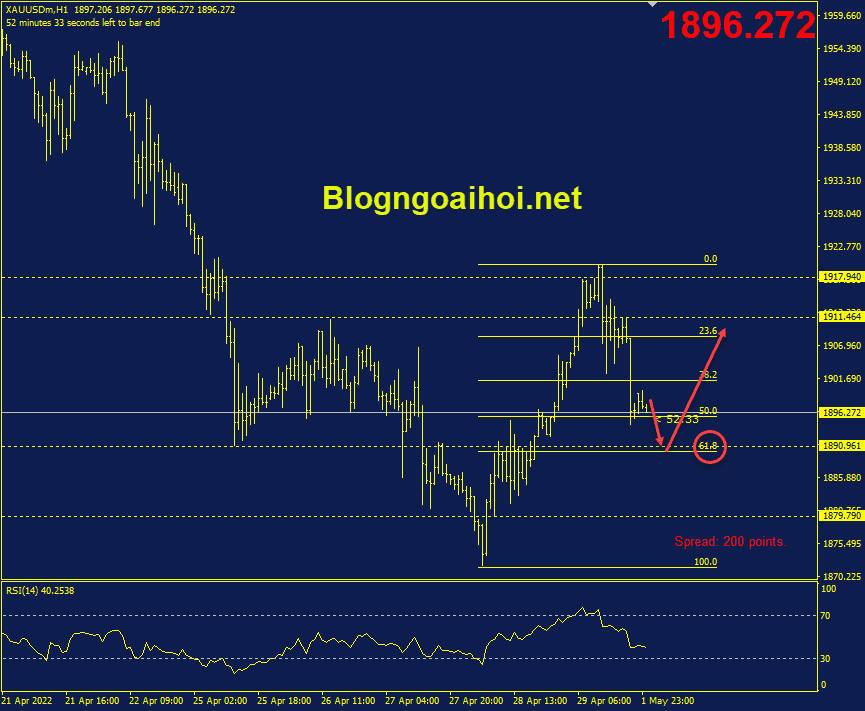 vang-2-5-ho-tro-fib-61.8%