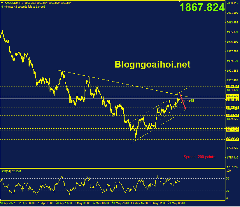 vang-25-5-trendline-giam