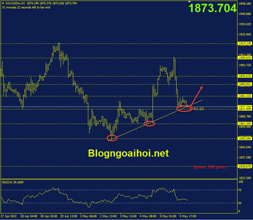 vang-6-5-trendline-ho-tro-tang