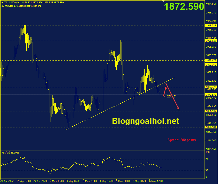 vang-phien-au-9-5-gay-trendline-ho-tro