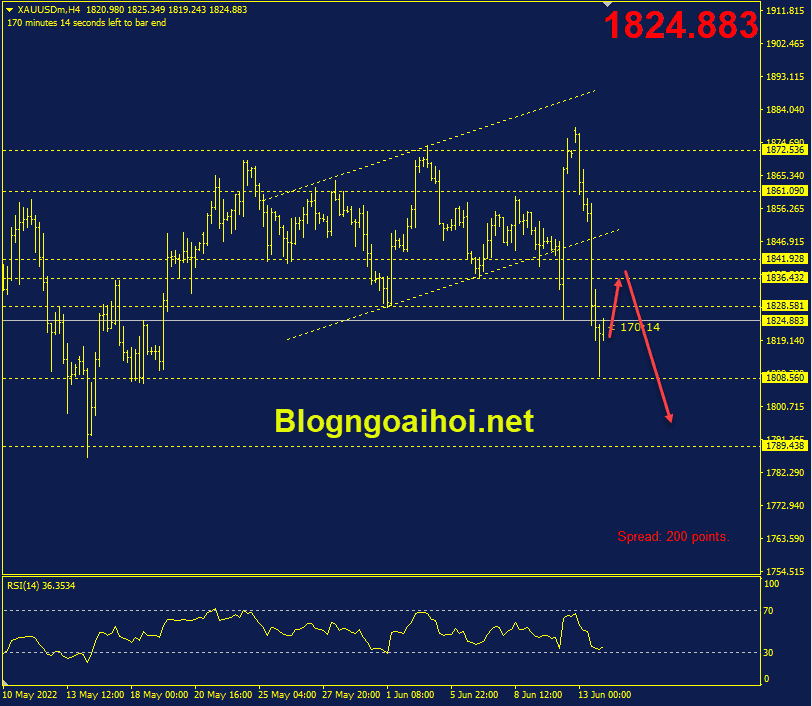 vang-14-6-suy-giam-ve-1800