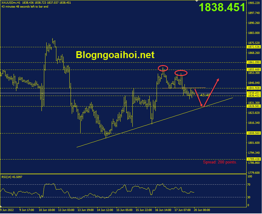 vang-20-6-trendline-ho-tro-tang