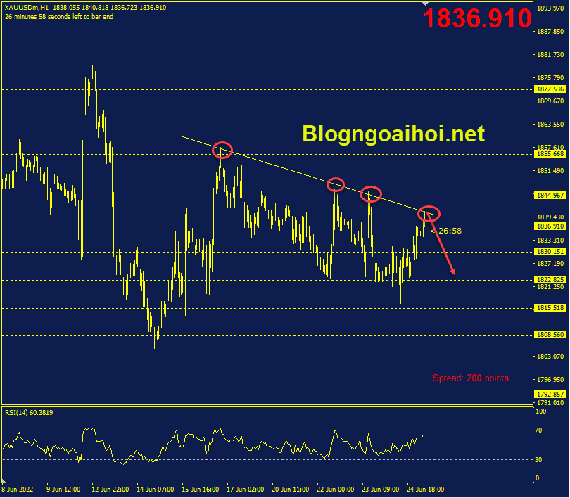 vang-27-6-trendline-giam