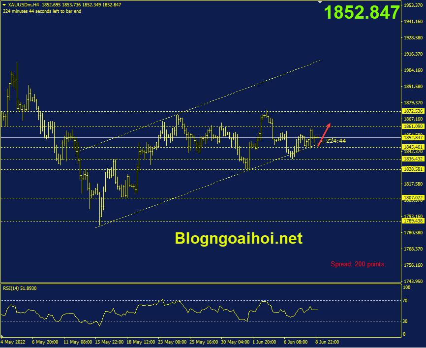 vang-9-6-trendline-ho-tro-tang