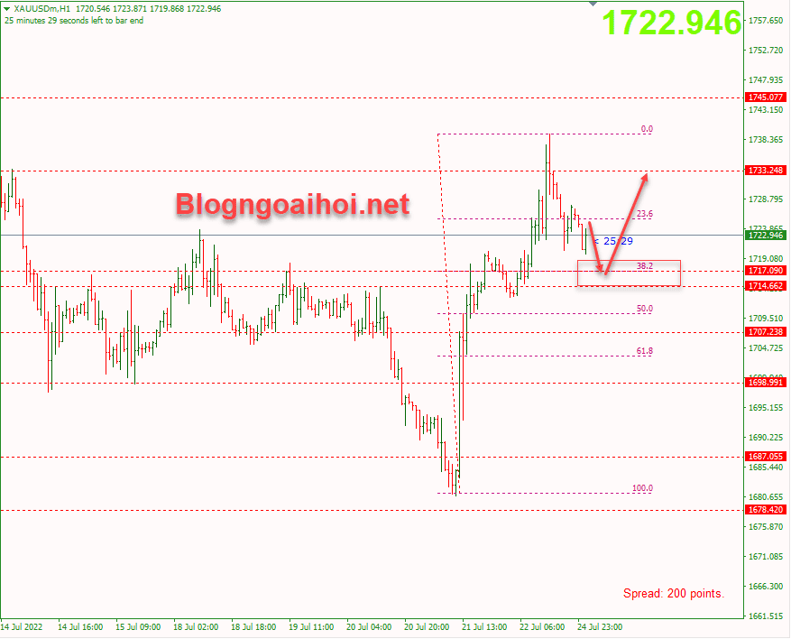 vang-25-7-ho-tro-fib-38-2