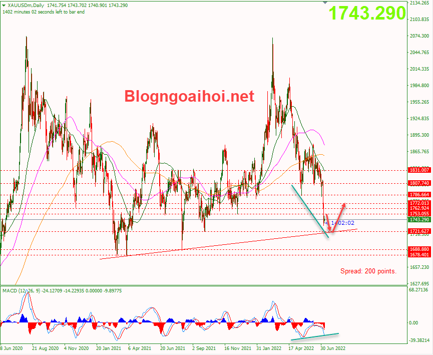 vang-8-7-giam-ve-trendline-ho-tro