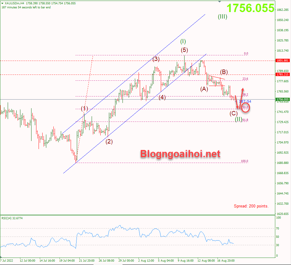 vang-19-8-ho-tro-fib-50