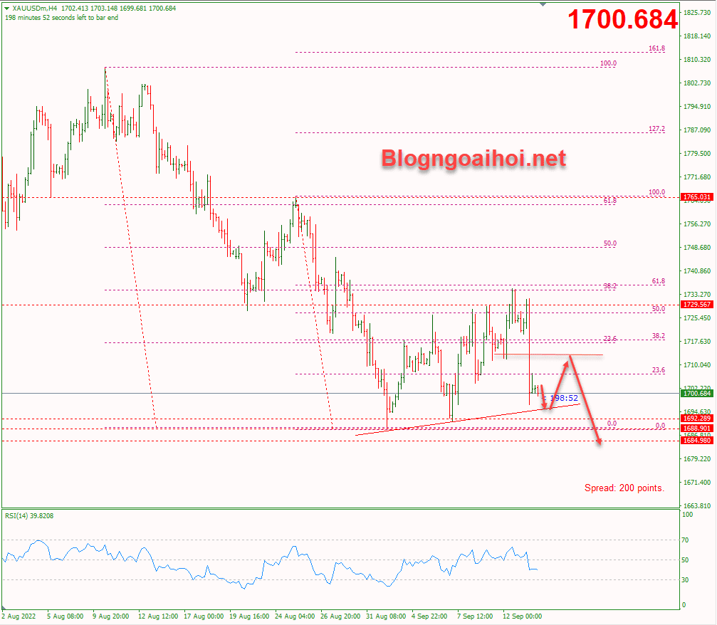 vang-14-9-trendline-ho-tro