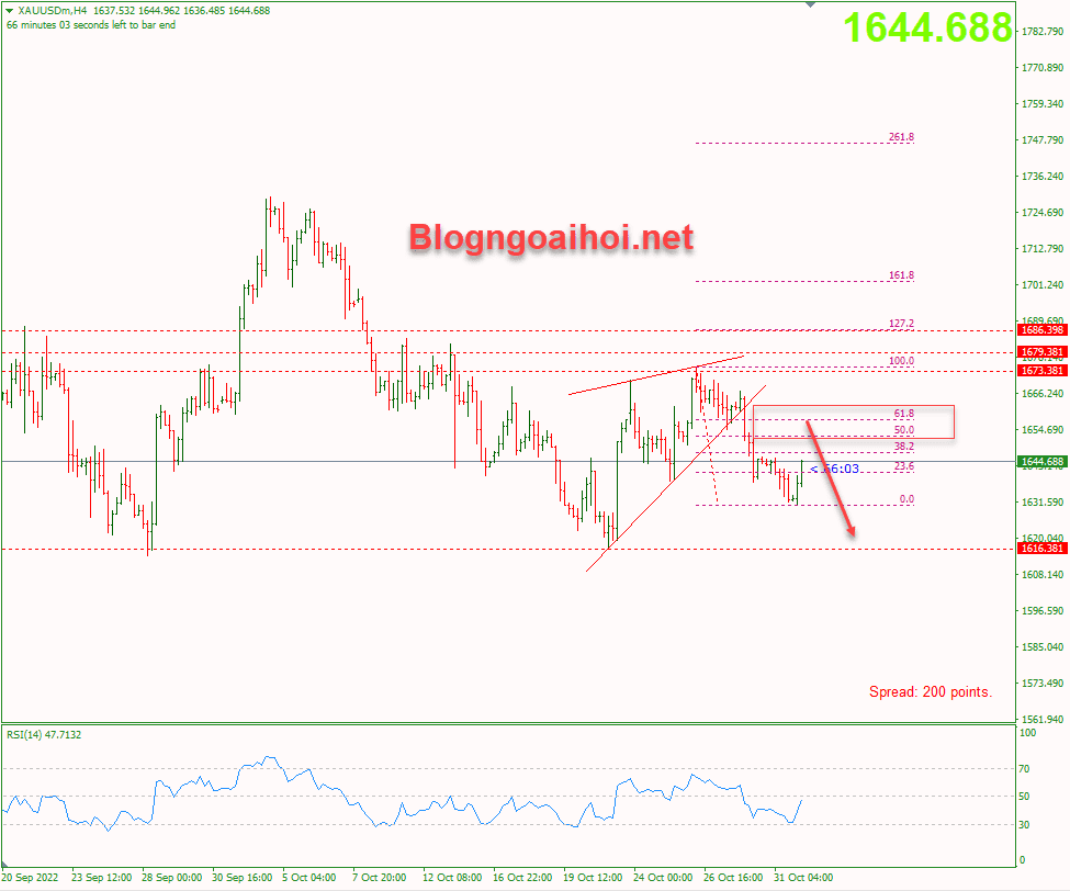 vang-1-11-khang-cu-fib-50-618