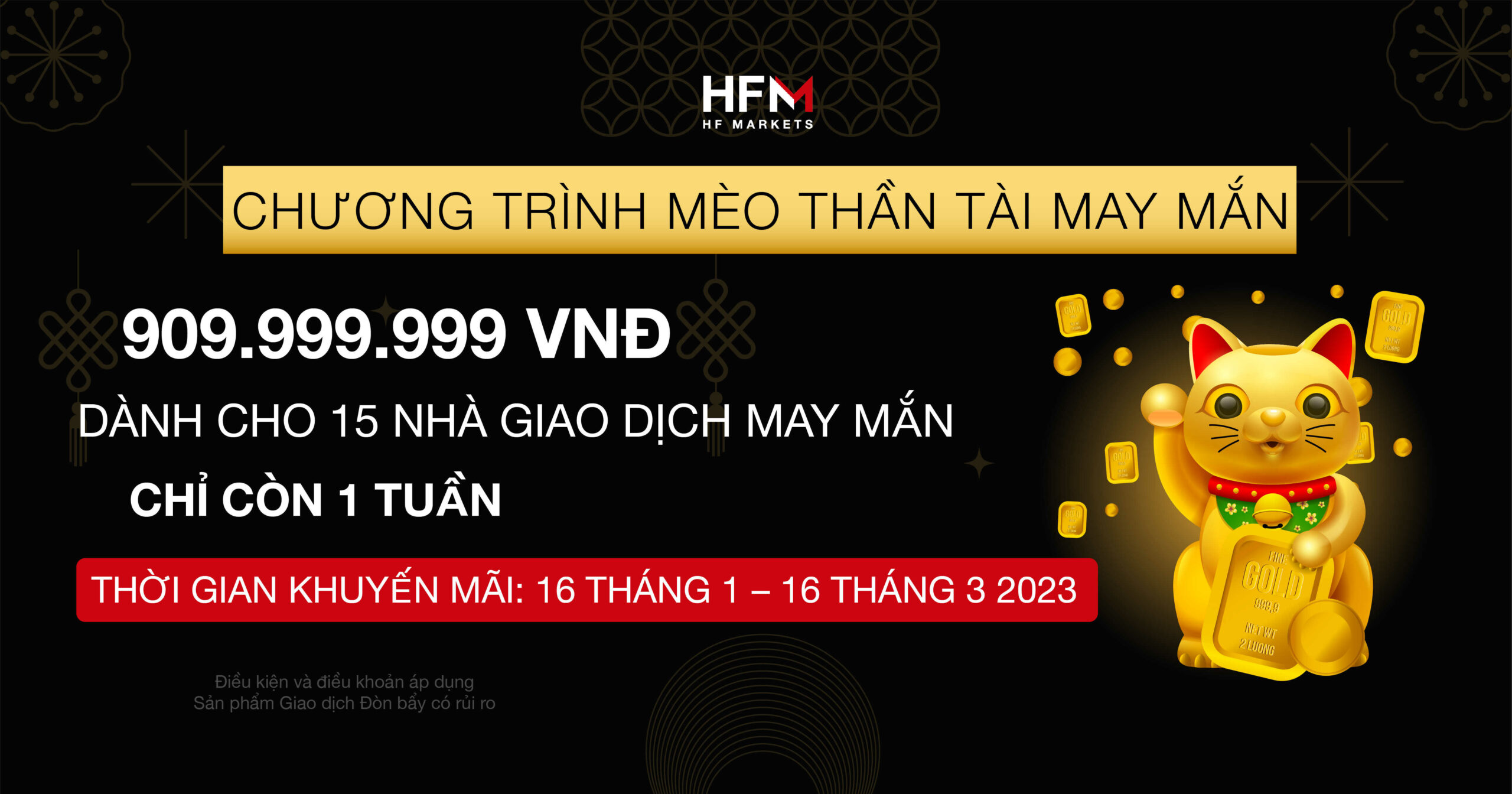 HF markets-Chương trình mèo vàng may mắn