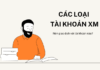 cac loai tai khoan xm optimized