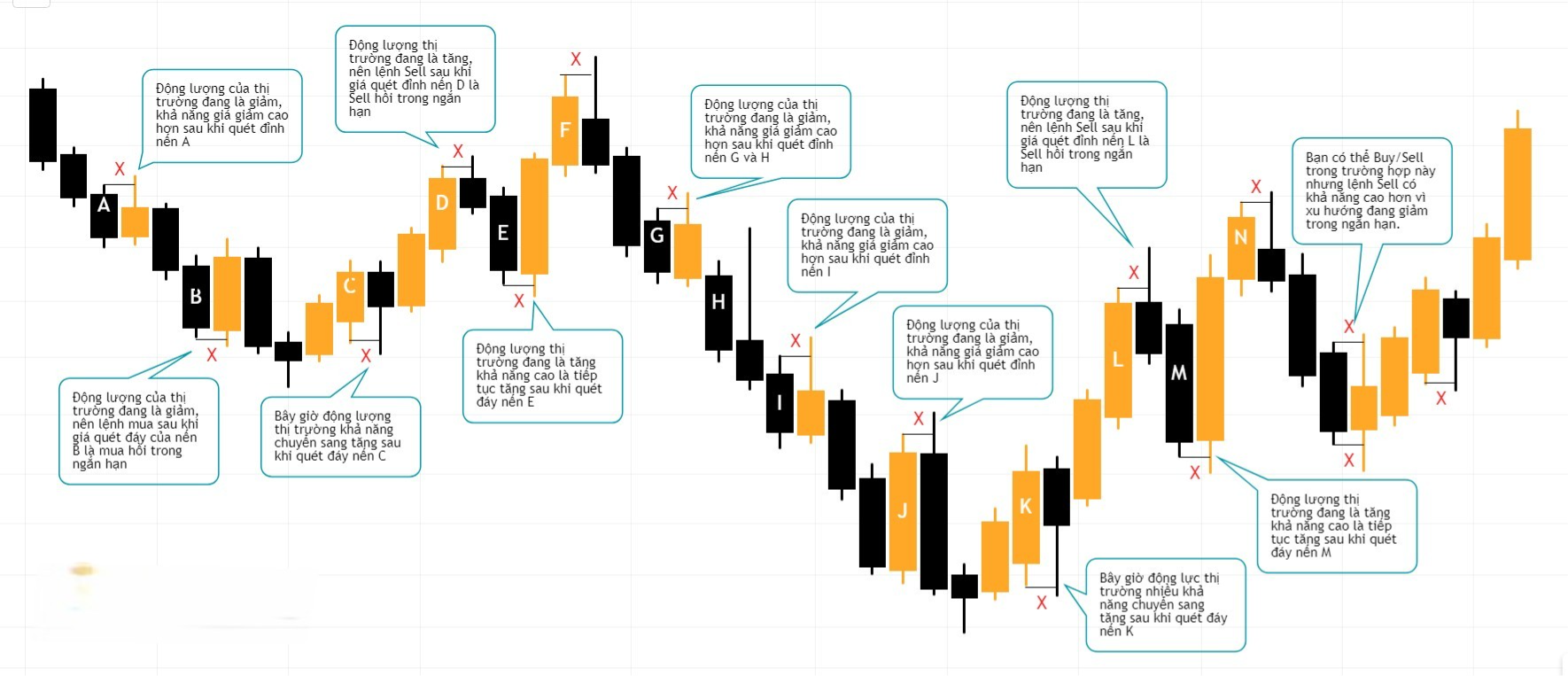 Hình 10. Daily Liquidity.