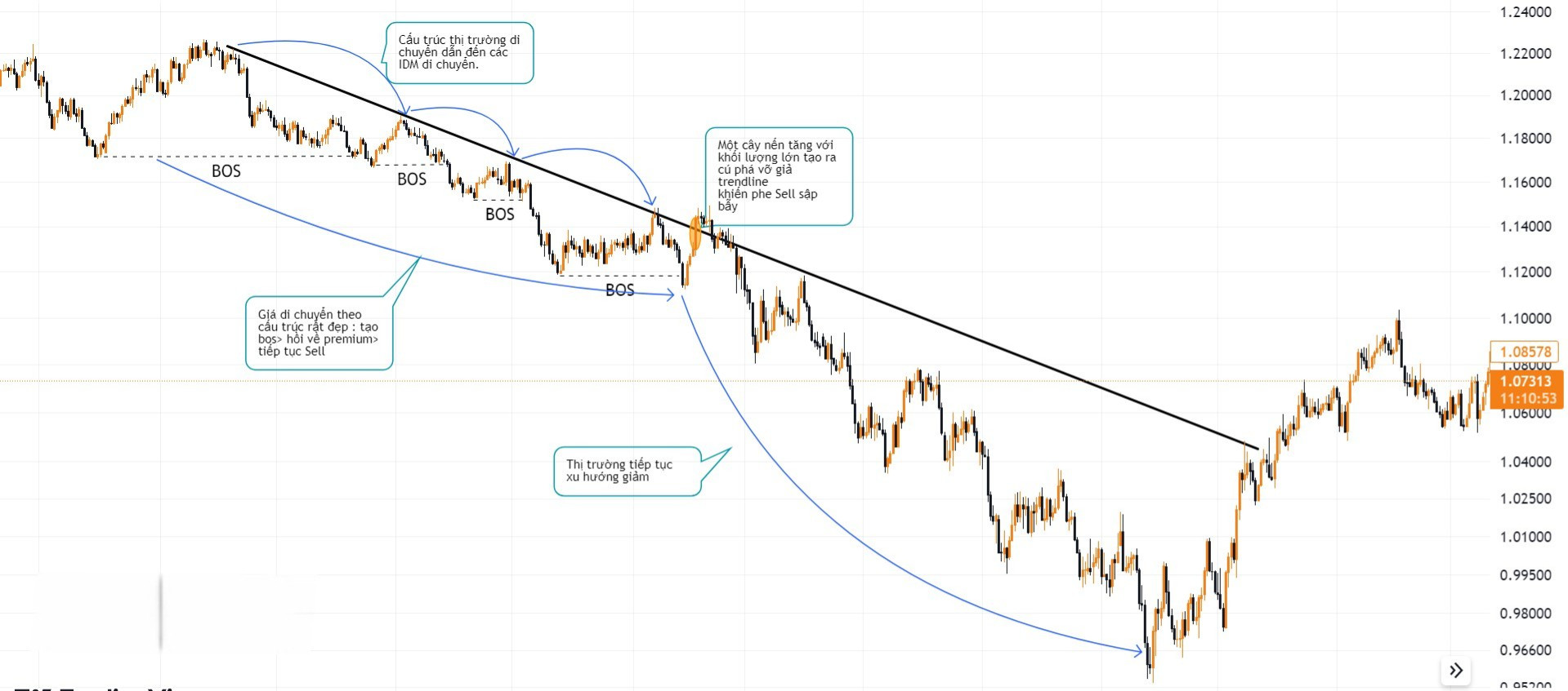 Hình 4. Trendline Liquidity