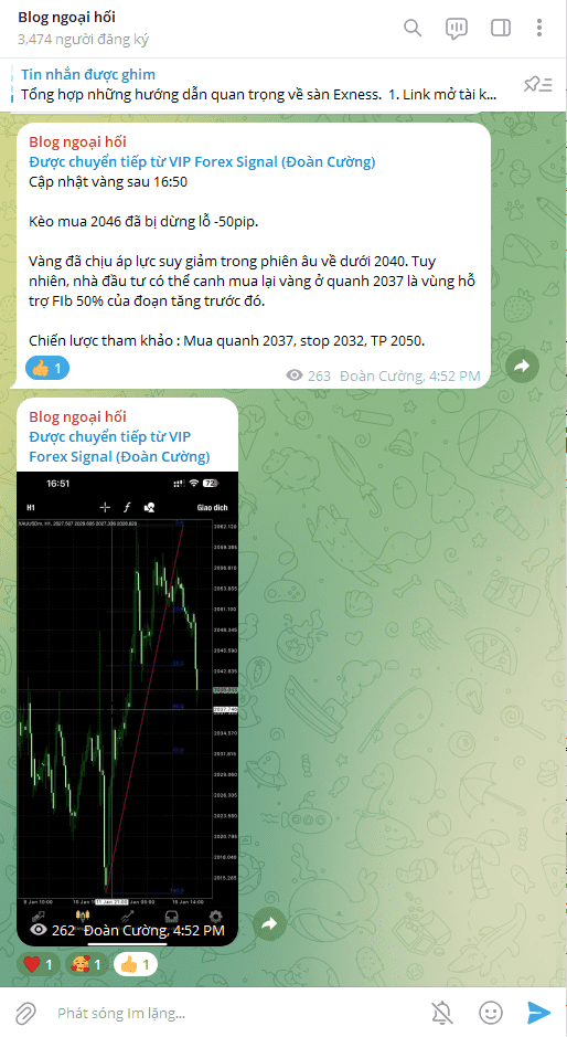 telegram-vang-16-1