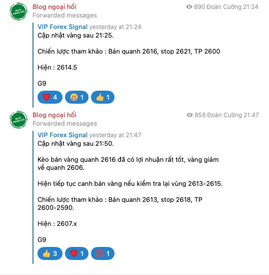 telegram-vang-13-11-6