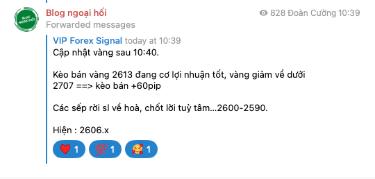 telegram-vang-13-11